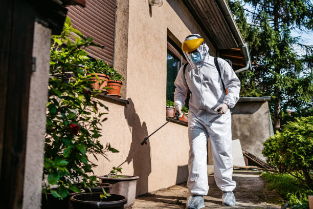 Best Pest Inspection Near Me  in New Bremen, OH