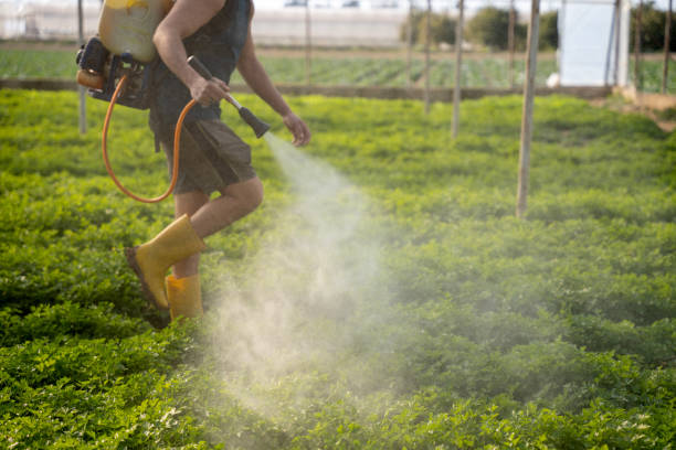 Best Best Pest Control Companies  in New Bremen, OH