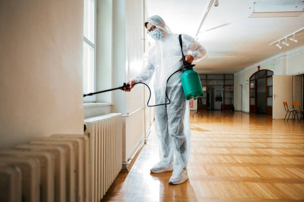 Best Pest Control Near Me  in New Bremen, OH