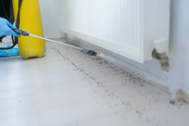 Best Insect Control  in New Bremen, OH